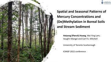 Spatial and Seasonal Patterns of Mercury Concentrations and (De)Methylation in Boreal Soils and Stream Sediment